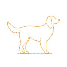 Animals Dogs German Longhaired Pointer Vinyl Svg File, Free Vectors File
